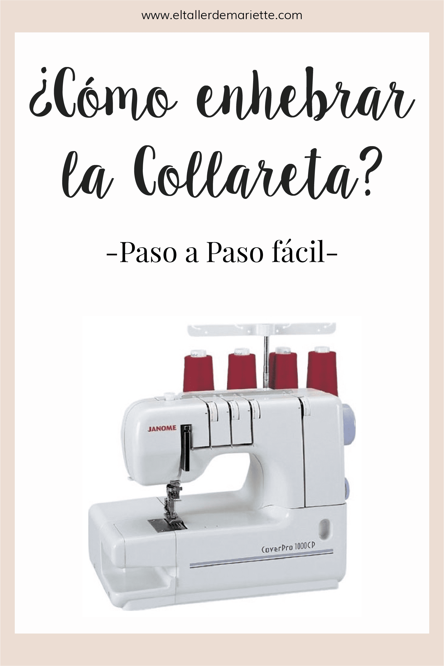 pin collareta